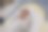 刚出生的婴儿洗澡后放松的照片图片下载