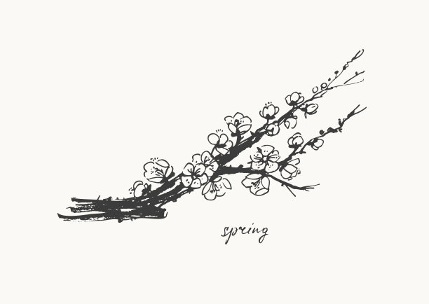 手绘水墨画春花盛开的樱花枝头图片下载