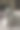 英国或俄罗斯蓝色短毛灰猫的迷人图片。这只猫黄色的眼睛和灰色的皮毛形成了鲜明的对比。图片下载