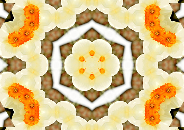 由几张照片组合而成的纹理图案。图片下载