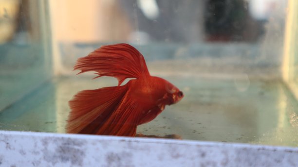 水族馆水图片下载