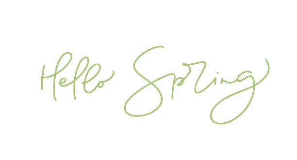 手绘矢量绿色文字字母你好春天。励志和鼓舞人心的季节引用。书法卡，马克杯，照片覆盖，t恤印刷，传单，海报设计图片下载