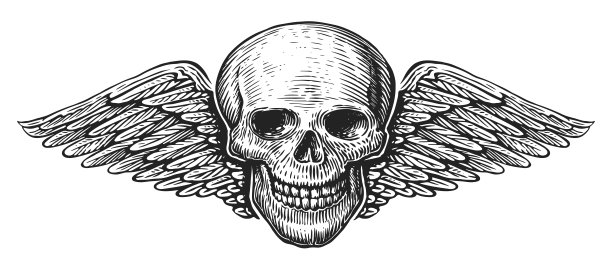 长翅膀的头骨。旧雕刻风格的翅膀和骨架。手绘复古插画图片下载