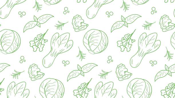 无缝模式绿色白菜矢量插图。为甘蓝日设计，健康食品，健康日图片下载