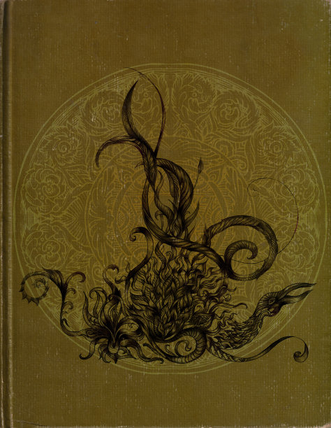 凤凰经图片下载