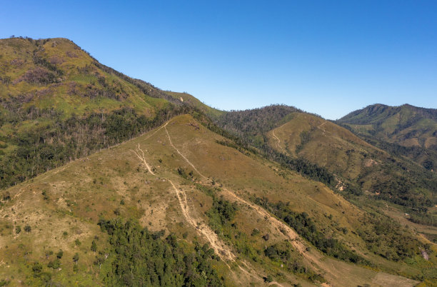 干旱季节，嘉莱省光秃秃的山上生长着野生树木的抽象照片图片下载