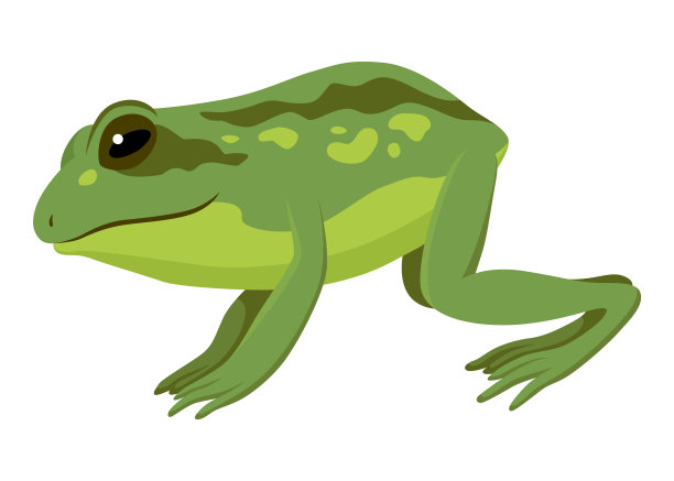 青蛙跳跃动画图标。用于动作设计的序列或素材。卡通蟾蜍跳跃，动物运动概念。青蛙跳跃序列，矢量插图图片下载