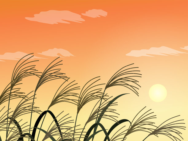 潘帕斯草原和日落背景图片下载