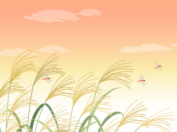 潘帕斯草原和日落背景图片下载