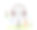 为顾客提供广播播客，为小人物提供实时声音的在线音频服务图片下载