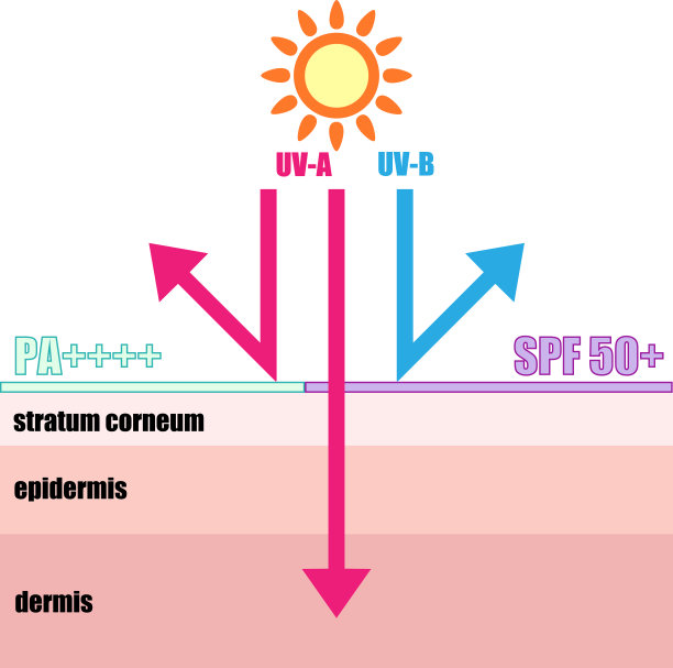 图片说明防晒霜保护皮肤免受紫外线伤害图片下载