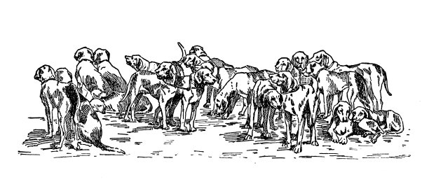 1897年的运动和消遣:美国猎狐犬的发展图片下载