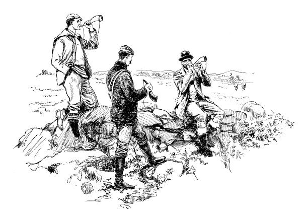 1897年的运动和消遣:美国猎狐犬的发展图片下载