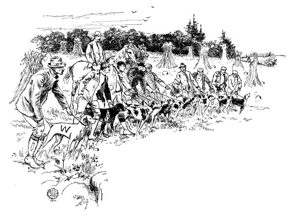 1897年的运动和消遣:美国猎狐犬的发展图片下载