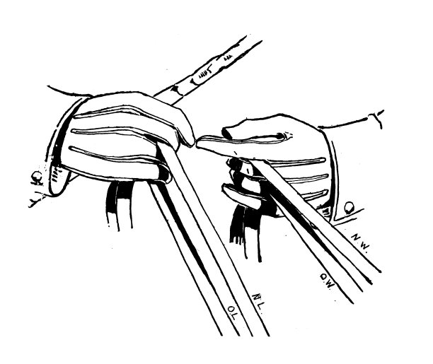 1897年的运动和消遣:马车缰绳的握持技术，更换缰绳图片下载
