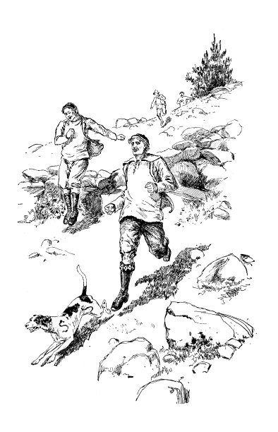 1897年的运动和消遣:美国猎狐犬的发展图片下载