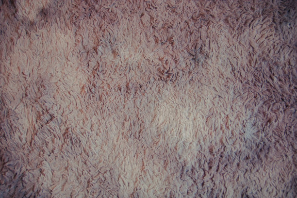 毛茸茸的地毯，柔软如丝。豪华的住宅地毯，高品质的照片图片下载