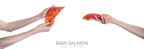 女人手里拿着一块生鲑鱼片，孤立在白色背景上。图片下载