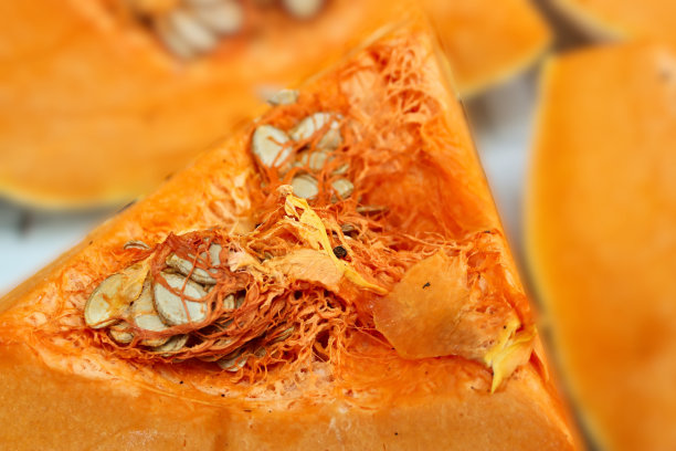 南瓜种子图片下载