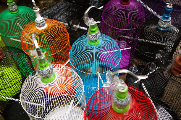 动物市场上的鸟笼图片下载