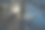 冬天一棵树的背光照片图片下载