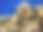 红海的一个珊瑚礁里有许多五颜六色的鱼图片下载