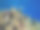 红海的一个珊瑚礁里有许多五颜六色的鱼图片下载