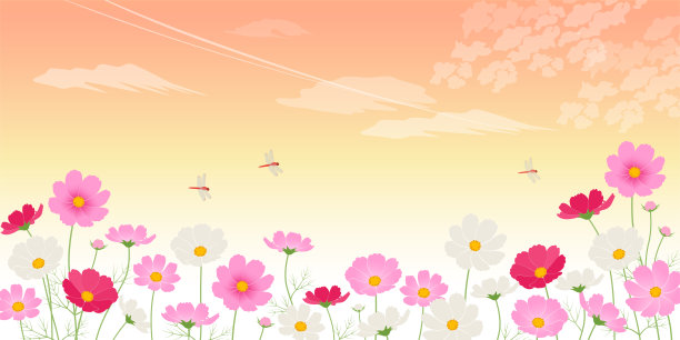 日落和宇宙场;图像背景(2:1)图片下载