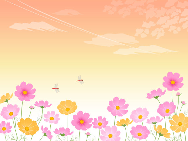 日落和宇宙领域的图像背景图片下载