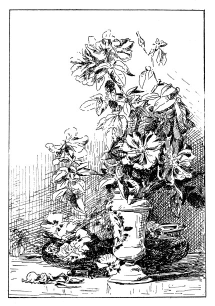 玫瑰和三色堇图片下载