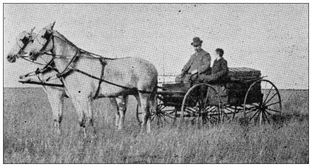 1897年的运动和消遣:马车图片下载