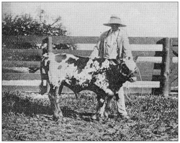 1897年的运动和消遣:农场图片下载