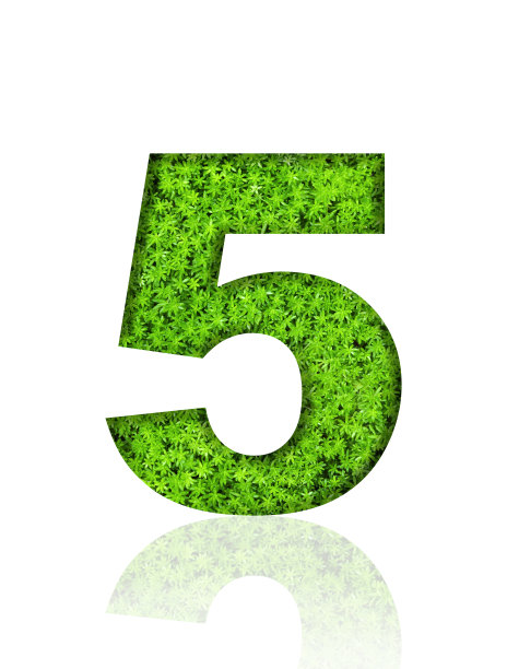 白色背景上5号绿叶的三维孤立照片图片下载