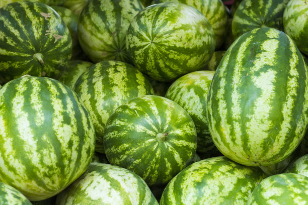 一组旧工具，挂在白漆的墙上图片下载