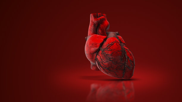 人类心脏的医学动画图片下载