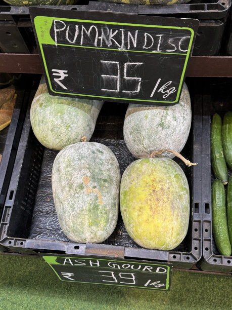 超市水果和蔬菜过道里的新鲜农产品塑料箱，里面装着成熟的、绿色的南瓜和葫芦，特写图片，高架视图。图片下载