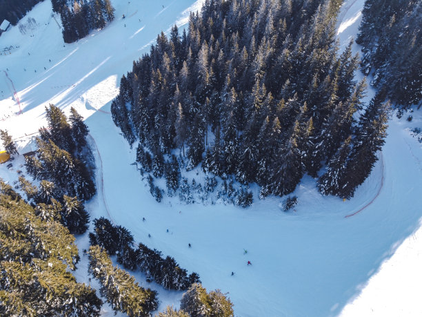 在一个晴朗的冬日，鸟瞰雪林，雪道在树林中蜿蜒而过。图片下载
