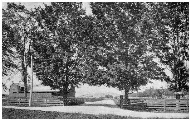 1897年的运动和消遣:佛蒙特州赛马训练农场图片下载