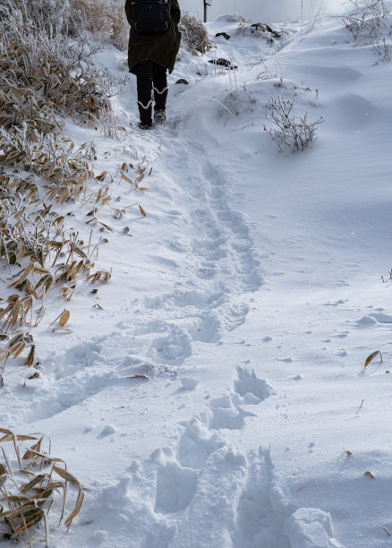 一个人走在雪地里图片下载