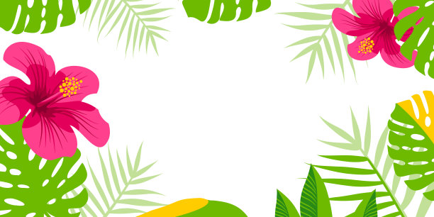 亚裔美国人、夏威夷原住民和太平洋岛民传统月。矢量横幅的社会媒体。插图与文字和木槿。白色背景的亚太裔传统月。图片下载