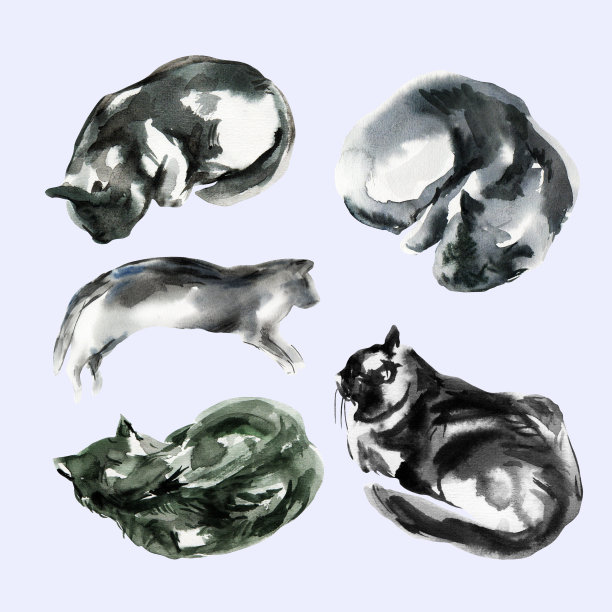 一套抽象的猫素描，动物印花污渍，美丽的形状，柔和的调色板。水彩插图睡觉，躺着，玩宠物图片下载