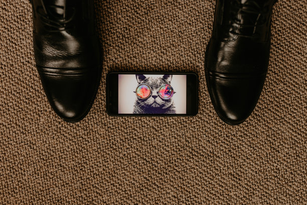 男士经典时尚正装鞋风格的结婚戒指躺在照片的猫戴眼镜的电话图片下载