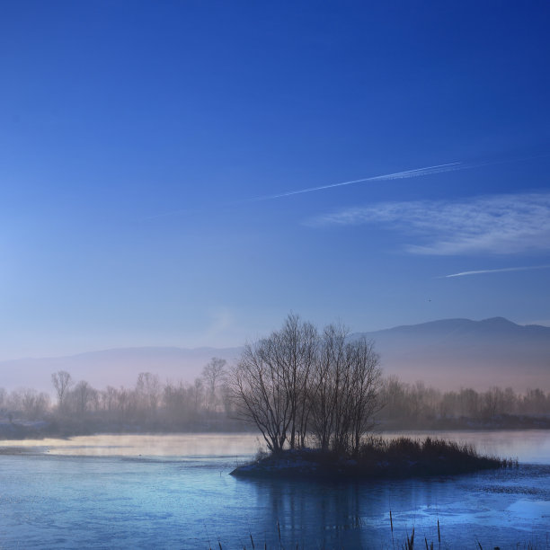 日落时分，在粉紫色的天空下，一棵孤零零的树的剪影矗立在海面上的一块岩石上。库存图片图片下载