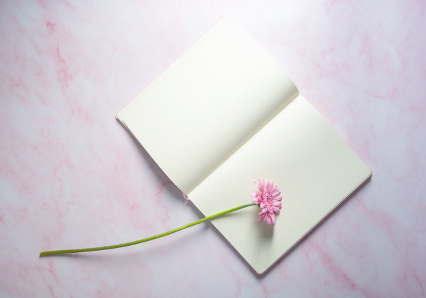 粉红色非洲菊和菊花花束和空白笔记本图片下载