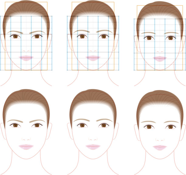 一个美女的侧面和正面。面部比例图解图片下载