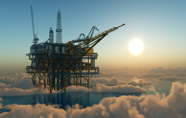 晚上的植物。图片下载