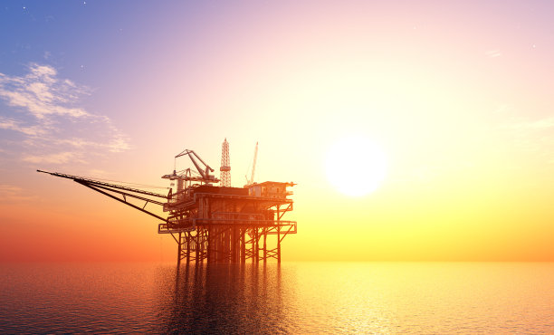 晚上的植物。图片下载