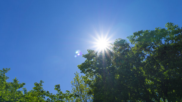 阳光和清新蓝天白云背景素材图片下载