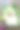 扁平的特写粉红色的模型信封，里面装满了黄色的小花和小叶子，周围是春天的绿叶，白色的卡片模型和一杯咖啡，饼干，暗紫色的背景图片下载
