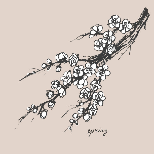 手绘水墨画春暖花开的樱花树枝上开着白花图片下载